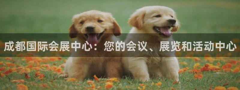 果博公司开户